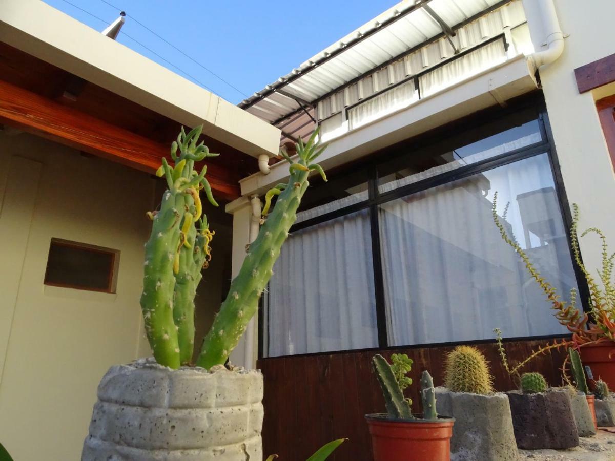 Casa Cactus Cafayate Hotel Esterno foto